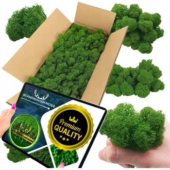 Obraz Sobí mech chrobotek 500g Dekorativní FINSKÝ PREMIUM zelený grass