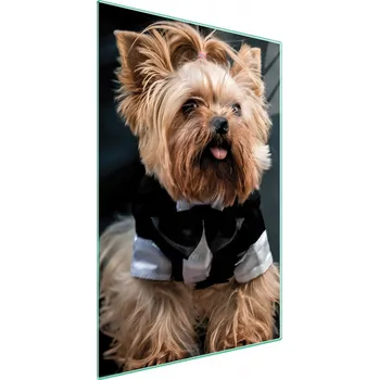 Kuchyňské prkénko Krájecí deska TMK ArtDeko sklo 1 ks