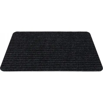 Obraz ROHOŽKA S PRUHOVÝM BĚHOUN 40X60 CM