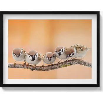 Obraz Dekorativní nástěnný obraz s černým rámem a grafikou loft Ptáci na větvi 80x60 cm