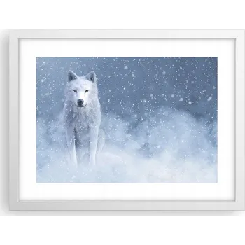 Obraz Obraz plakát v bílém rámu do obýváku 40x30 bílý vlk foto na zeď