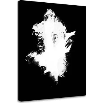 Obraz Obraz s kontrastem 60x90