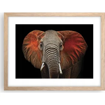 Obraz Obraz plakát v rámu světlý dub do obýváku 40x30 slon foto plakáty na zeď