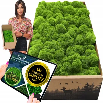 Obraz Dekorativní mech chrobotek sobí (lišejník) Scandinavian Moss® zelený 300 g