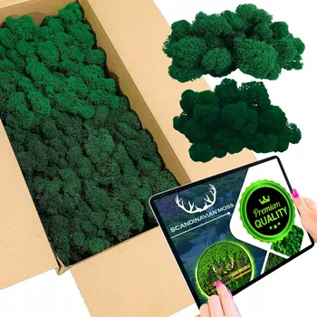 Obraz Mech chrobotek SOBÍ 300g net. ČIŠTĚNÝ FINSKÝ PREMIUM mix 2