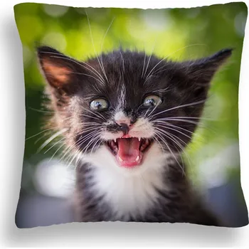 Polštář VELKÝ 50*50 POLŠTÁŘ KOČKA 45 MALÝ, ALE BLÁZEN "JAŚ" (DEKORAČNÍ POLŠTÁŘEK)