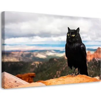 Obraz Obraz na plátně Canvas Špaček Kočka Pták Výhled 60x40