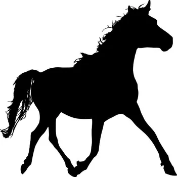 Obraz Samolepka na stěnu Drukant W-KN004_70K 70x70 cm černá