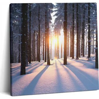 Obraz Obraz Na Plátně Krásný Tisk na Plátně do Bytu Loft Západ Slunce a Zimní Les 60x60 cm