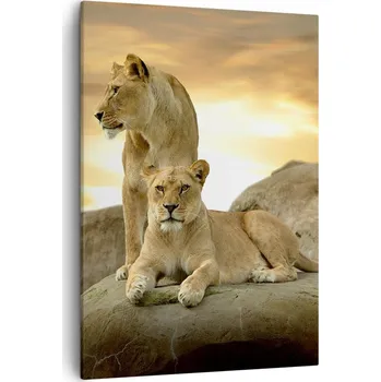 Obraz Obraz na plátně do obýváku ložnice 50x70 zvířata obrazy na zeď canvas