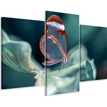 Obraz Obraz Triptych List MOTÝL Příroda Makro 3D 90x60