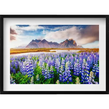 Obraz Dekorativní nástěnný obraz s rámem a grafikou loft Magické květy vlčího bobu 70x50 cm