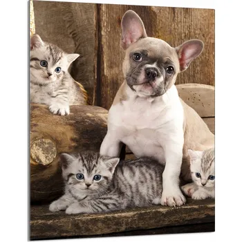 Kuchyňské prkénko Krájecí deska TMK ArtDeko sklo 1 ks