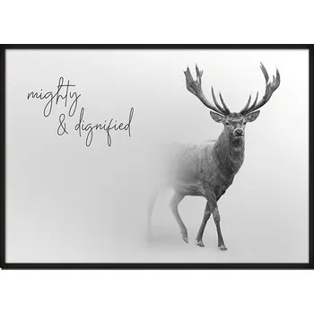 Obraz OBRAZ PLAKÁT V RÁMU 43x33 cm Zvířata P620