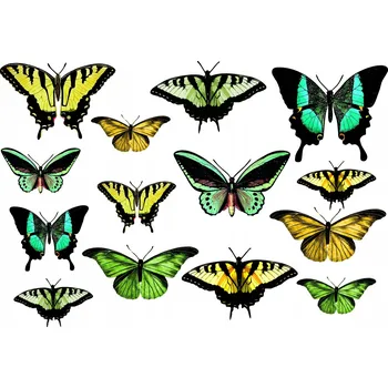 Obraz Samolepky zelení motýlci žlutí motýli S