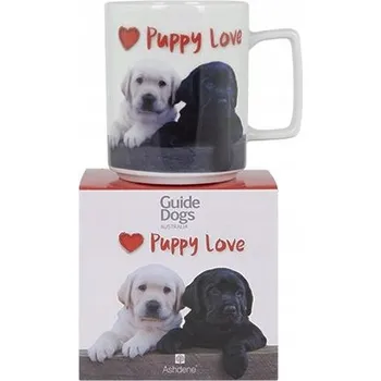 Hrnek Ashdene porcelánový 250 ml