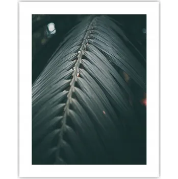 Obraz Obraz plakát na zeď bez rámu 40x50 botanika plakáty do obývacího pokoje ložnice