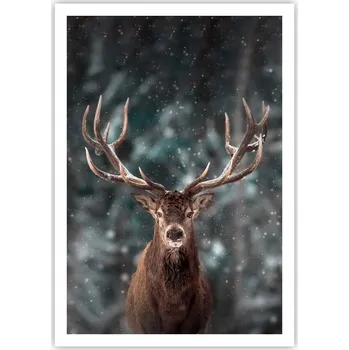 Obraz Plakát na zeď bez rámu 70x100 zvířata obraz plakáty do obývacího pokoje ložnice