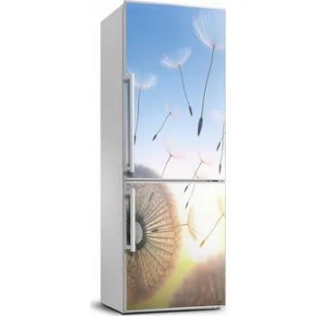 Fototapeta Samolepicí samolepící s dýhou Pampeliška