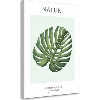 Obraz OBRAZ NA PLÁTNĚ CANVAS Zelený list - Příroda 60x90