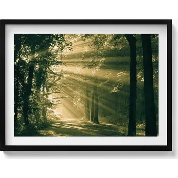 Obraz Dekorace, obraz s grafikou v krásném rámu Sluneční paprsky v lese 80x60 cm