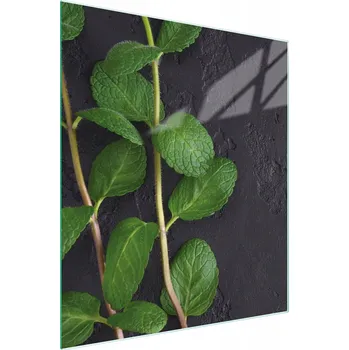 Kuchyňské prkénko Krájecí deska TMK ArtDeko sklo 1 ks