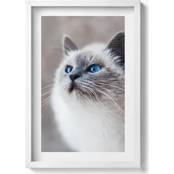 Obraz Nástěnný obraz dekorace interiéru Klidná krajina zimního jezera 40x60 cm