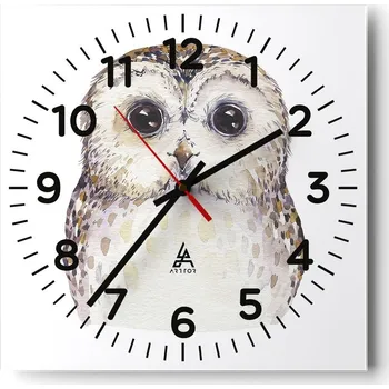 Hodiny Nástěnné hodiny do obýváku 40x40cm Sova Tiché Skleněné hodiny Stylové Bez hlučnosti