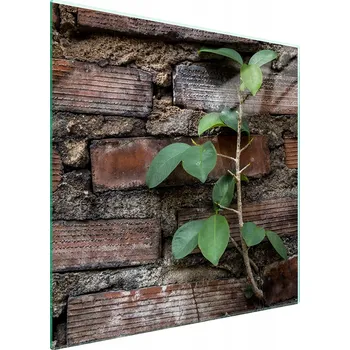 Kuchyňské prkénko Krájecí deska TMK ArtDeko sklo 1 ks