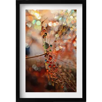 Obraz Dekorace, obraz s grafikou v krásném černém rámu - Pampeliška a rosa, 40x60 cm