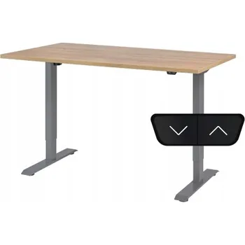 Psací stůl Obdélníkový psací stůl ProErgo 160 x 80 x 121 cm, odstíny šedé