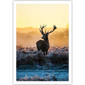 Obraz Plakát na zeď bez rámu 70x100 krajina obraz plakáty do obývacího pokoje ložnice