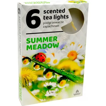 Svíčka Tradiční parafinová svíčka SUMMER MEADOW Admit 6 ks