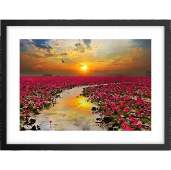 Obraz Obraz plakát v černém rámu do obýváku 40x30 květ lotosu foto na zeď