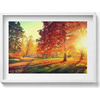 Obraz Ozdobný nástěnný obraz v bílém rámu s grafikou loft Podzimní park 70x50 cm