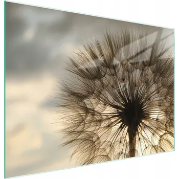 Kuchyňské prkénko Krájecí deska TMK ArtDeko sklo 1 ks