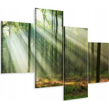 Obraz Vícedílný obraz LES Zeleň Příroda 3D 160x100