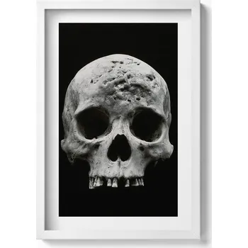 Obraz Elegantní obraz do obývacího pokoje v bílém rámu Lidská lebka kostra 40x60 cm