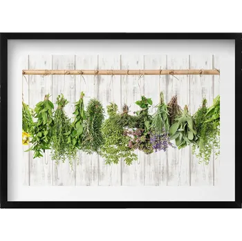Obraz Elegantní obraz do obýváku v černém rámu Sušené bylinky a rostliny 70x50 cm