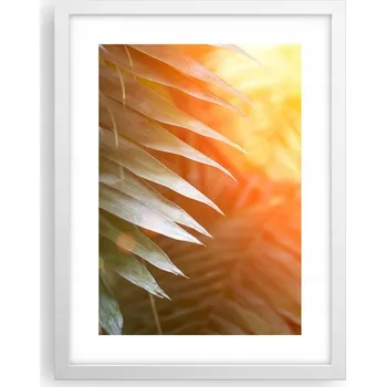 Obraz Obraz plakát v bílém rámu do obýváku 30x40 botanika foto plakáty na zeď