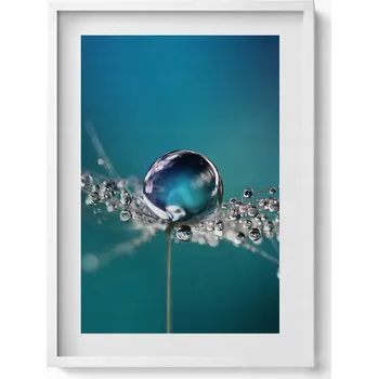 Obraz Závěsný obraz na zeď dekorace do domu Kapka rosy na pampelišce 50x70 cm