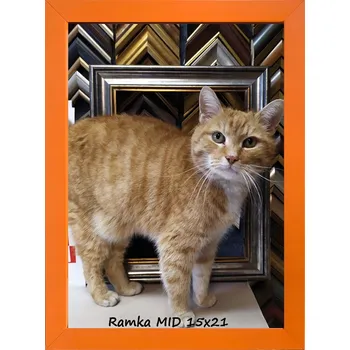 Obraz Rámeček na jedno foto MAREK A DAREK 1 15 x 21 cm