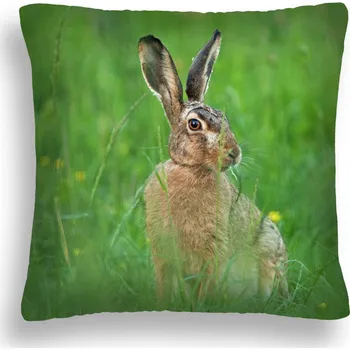 Polštář POLŠTÁŘ Zajíček v trávě ZW 06 POLŠTÁŘ PL 50x50