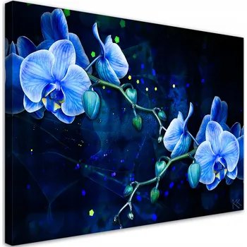 Obraz Obraz na plátně, Modrý květ orchideje 90x60 9