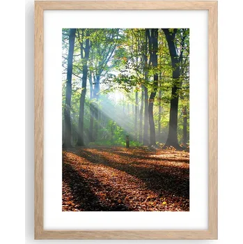 Obraz Obraz plakát v rámu světlý dub do obýváku 30x40 les foto plakáty na zeď