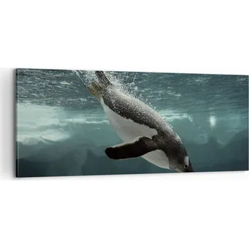 Obraz Foto obraz na plátně canvas 100x40 tučňák obývák ložnice na zeď velký