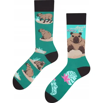 Pánské ponožky ToDo Ponožky Kapybara vícebarevné, velikost 39-42