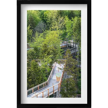 Obraz Dekorace - obraz v černém rámu na zeď, Stezka v Krynici Zdroju, 40x60 cm