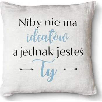 Obraz Polštář s potiskem Premium 40x40 - Zdá se, že nemá žádné ideály a přesto jsi to ty