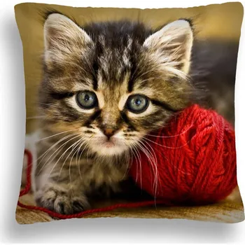 Polštář VELKÝ 50*50 POLŠTÁŘ KOČKA 10 KOŤAT ČERVENÉ KLUBÍČKO